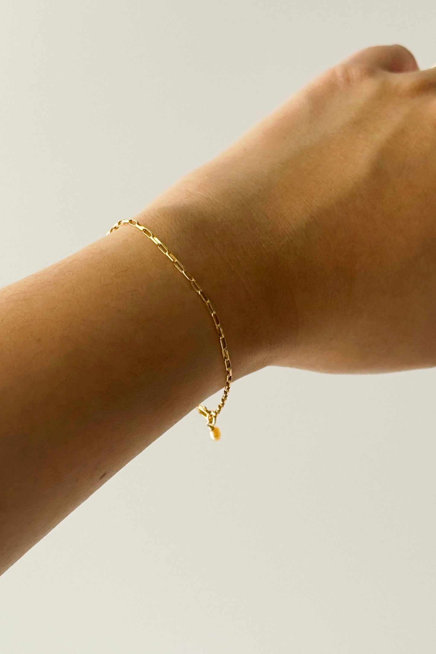 Rolo Link Bracelet