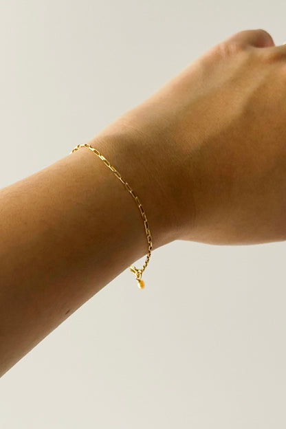 Rolo Link Bracelet