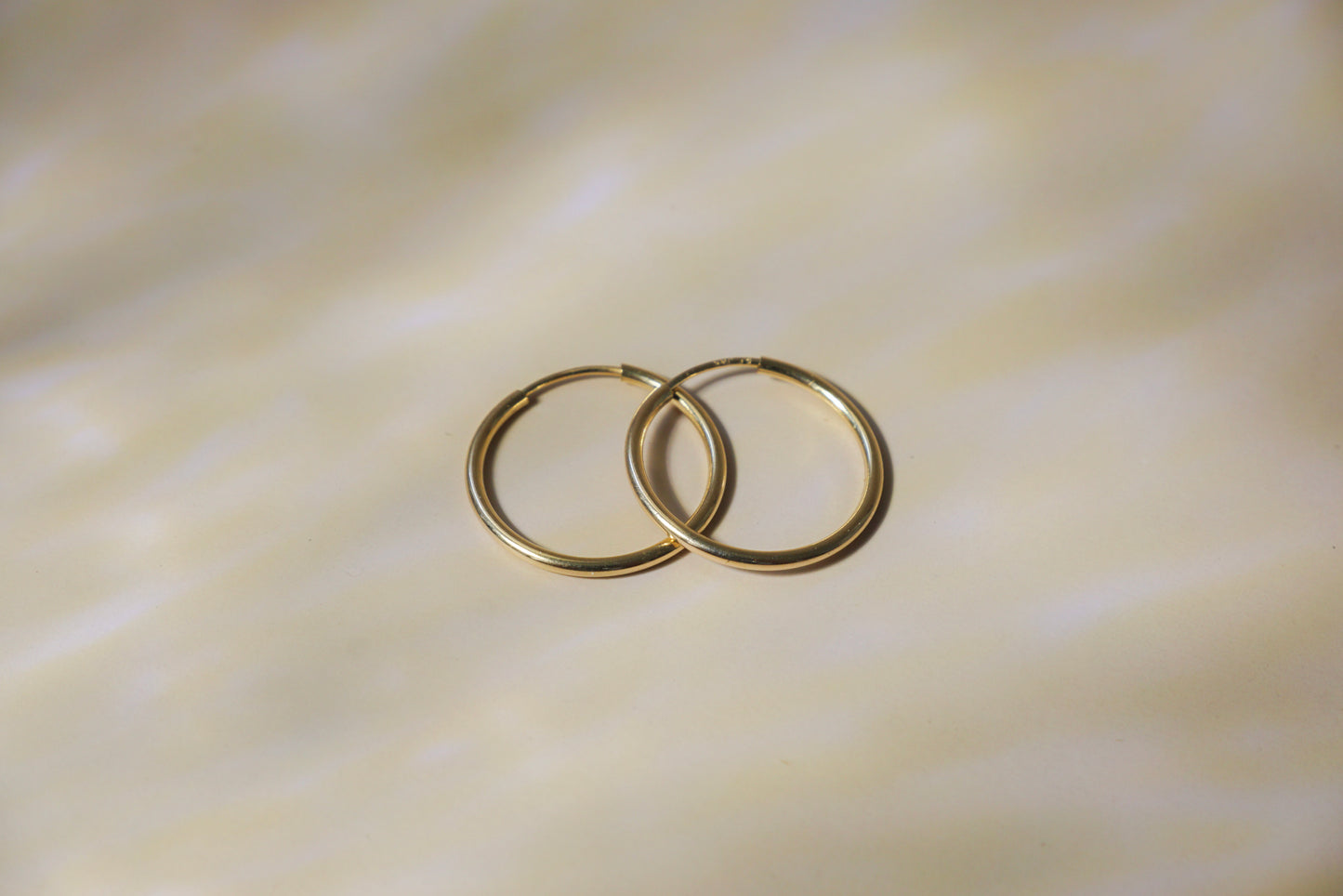 Endless Hoops Earrings