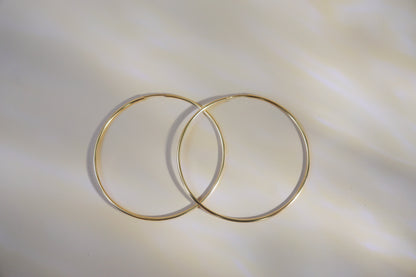 Endless Hoops Earrings