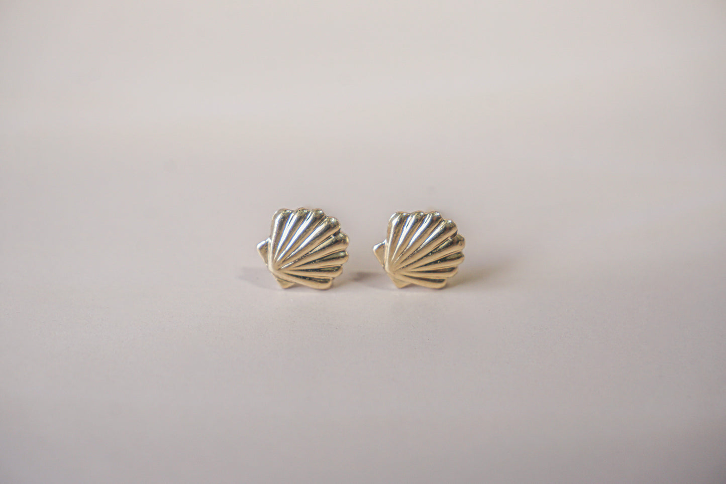 The Sea Shell Stud Earrings