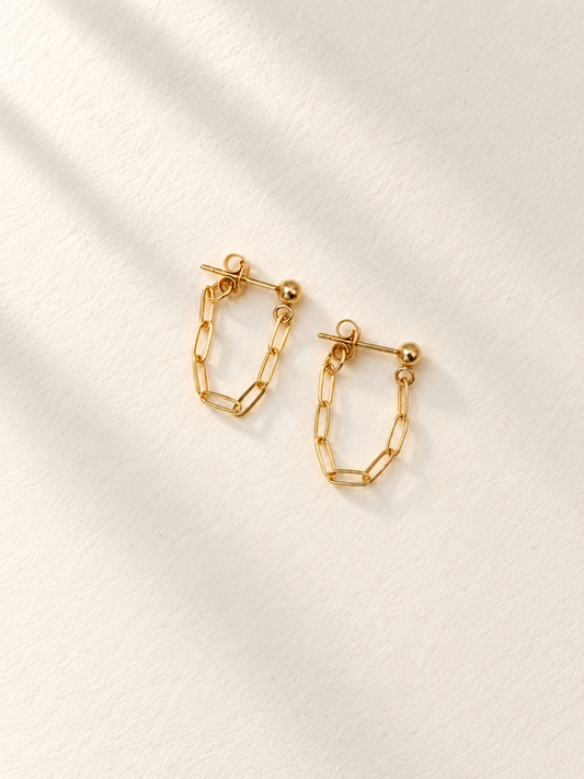 Link Me Earrings